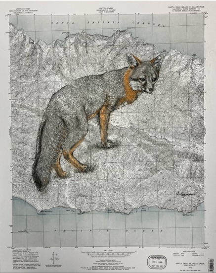 Without The Bald Eagle The Island Fox Would Be Extinct /
         Diptych Left