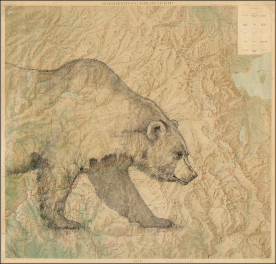 Yosemite Grizzly Bear
